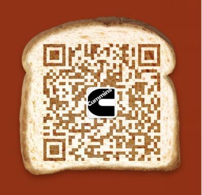 西安重康柴油機配件有限公司